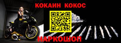 гашик Кингисепп