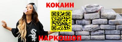 гашик Кингисепп