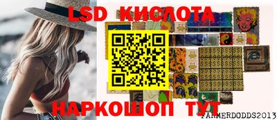 гашик Кингисепп