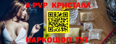 гашик Кингисепп