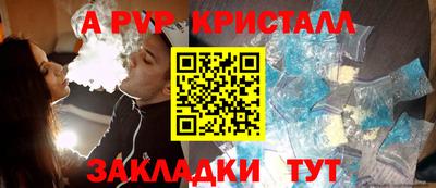 гашик Кингисепп