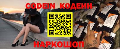 гашик Кингисепп