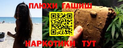 гашик Кингисепп