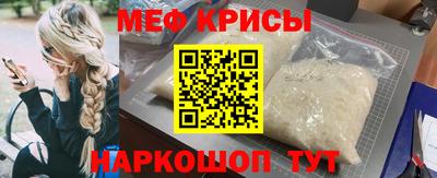гашик Кингисепп