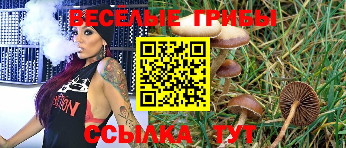 Буйнакск  Псилоцибиновые грибы MAGIC MUSHROOMS  Вход с VPN  Галлюциногенные грибы Psilocybine cubensis 